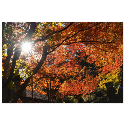 7f624252-5f0d-4d1d-be88-d1f514b9fe01