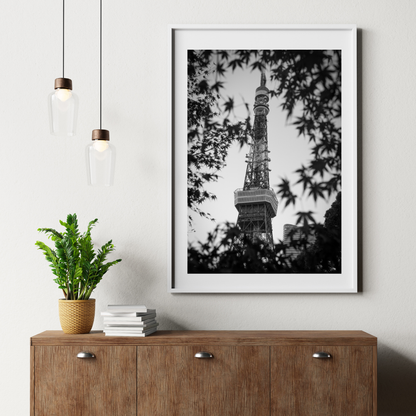 Tokyo Tower - Autumn Leaves B&W